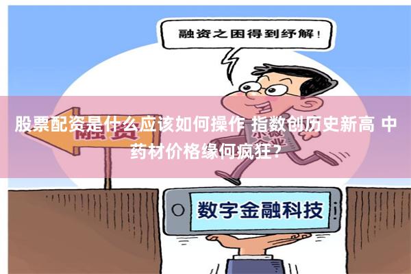 股票配资是什么应该如何操作 指数创历史新高 中药材价格缘何疯狂？